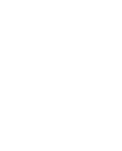 Holding Logo weiß